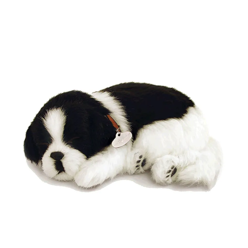 01Original - Border Collie