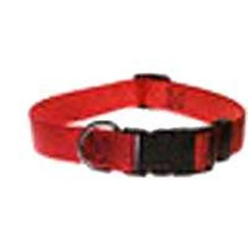 1"x 16-26" Red Nylon Collar
