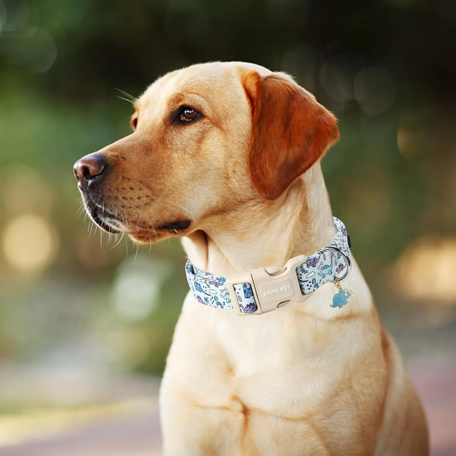 ARING PET Dinosaur Dog Collar-Cute Dog Collar for Small Dogs, Adjustable Dinosaur Print Pet Collars Puppy Collar for Small Medium Large Dogs