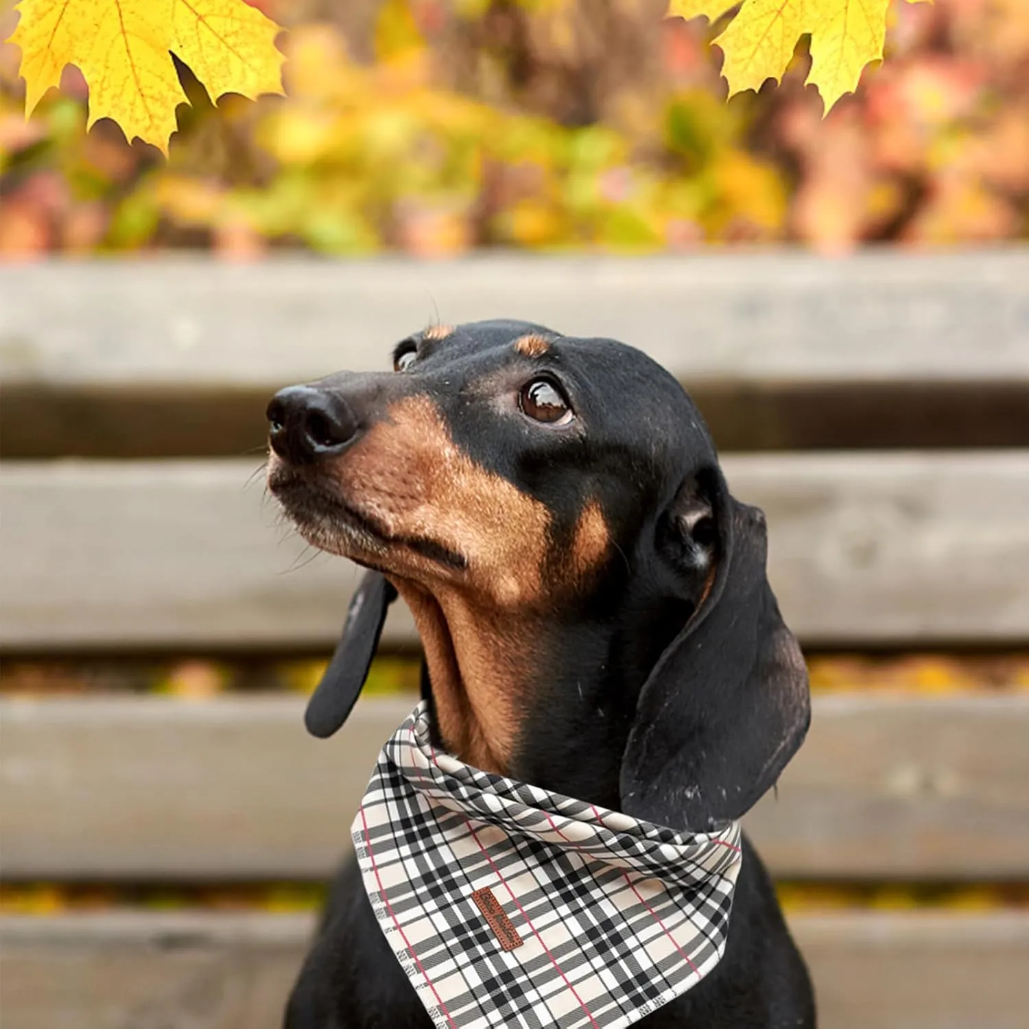 Bandana - 1Pack Plaid Washable Scarf, Square Bib Kerchief for Female or Male Dogs, Adjustable for Small Medium Large Pets
