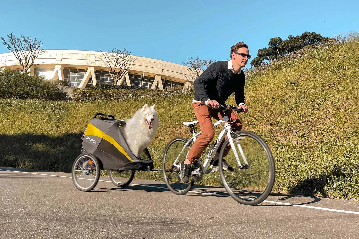 Bike Tow Bar For Hercules & Happy Pet Trailer Strollers