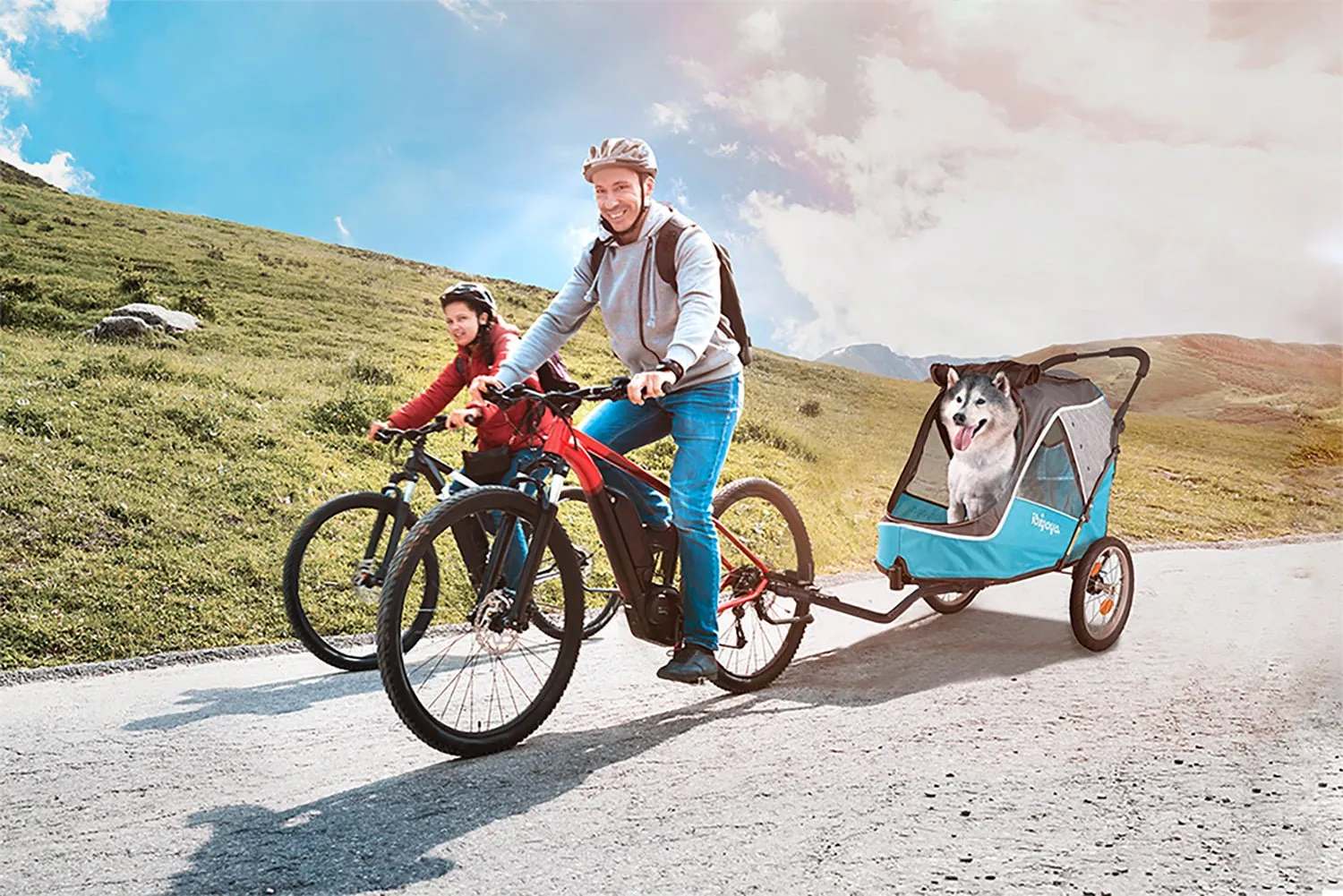 Bike Tow Bar For Hercules & Happy Pet Trailer Strollers