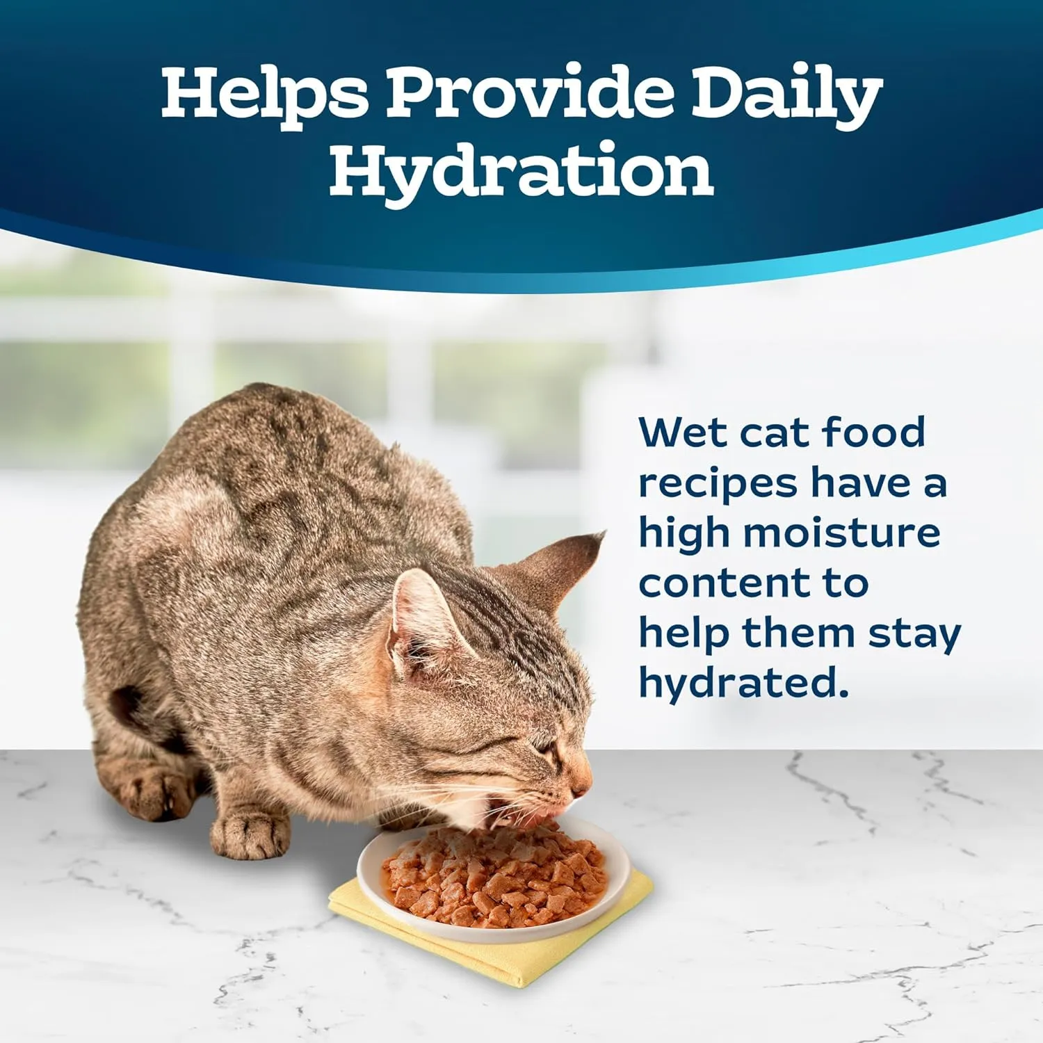 Blue Buffalo Tastefuls Wet Cat Food Pat Variety Pack, Made with Natural Ingredients, Chicken, Turkey & Chicken, Ocean Fish & Tuna Entres, 5.5-oz Cans (24 Count, 8 of Each)