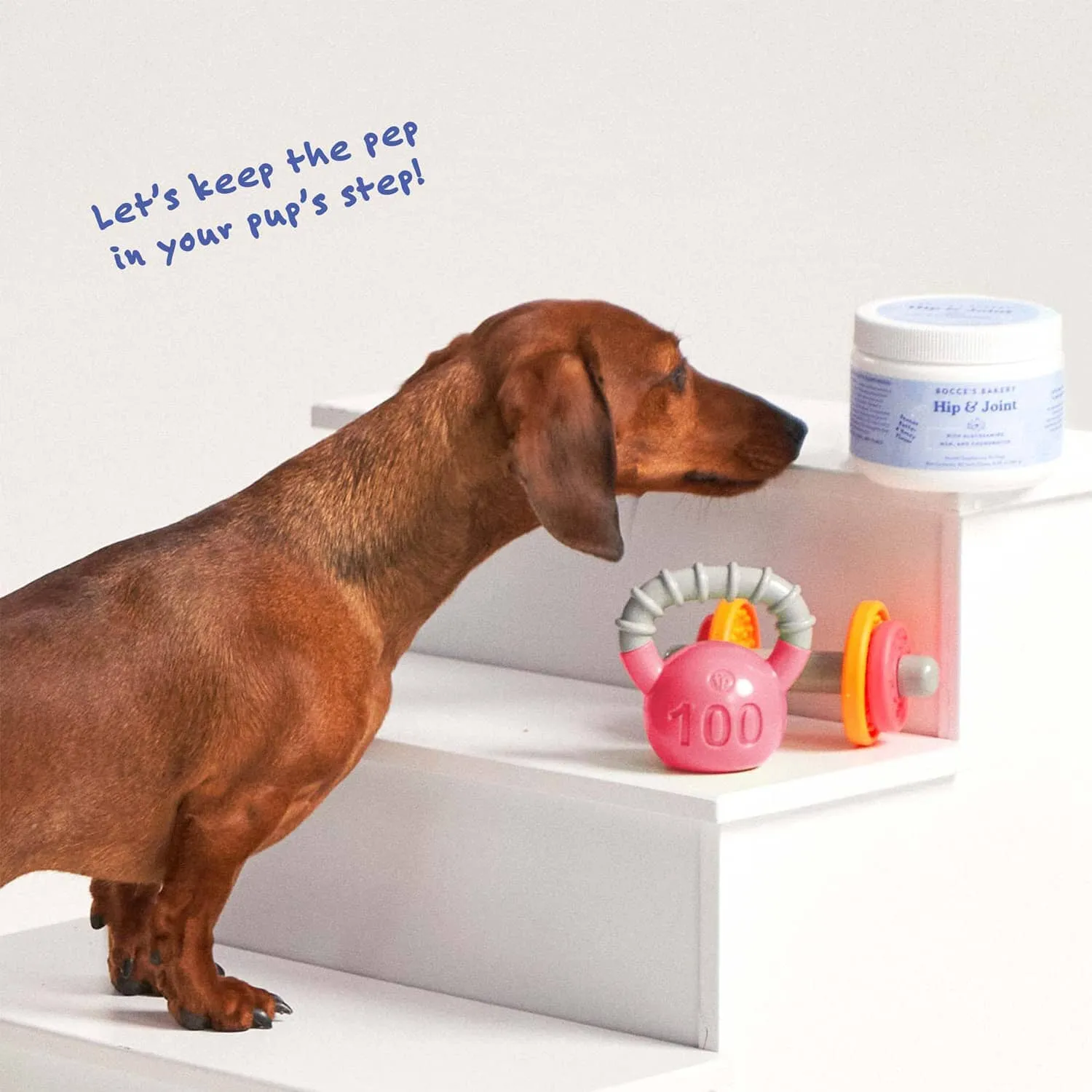 Bocce's Bakery Hip and Joint Dog Supplements - 6.35 Oz