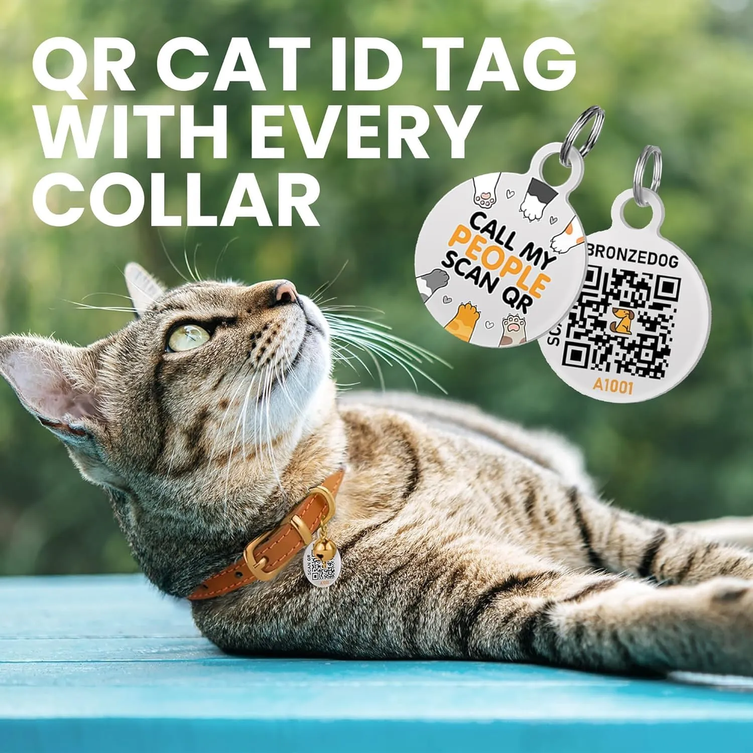 BRONZEDOG Leather Cat Collar with Removable Bells Non Breakaway Kitten QR Tag for Girl Boy (9" - 12" Cats/Mini Dogs, Green & Silver)