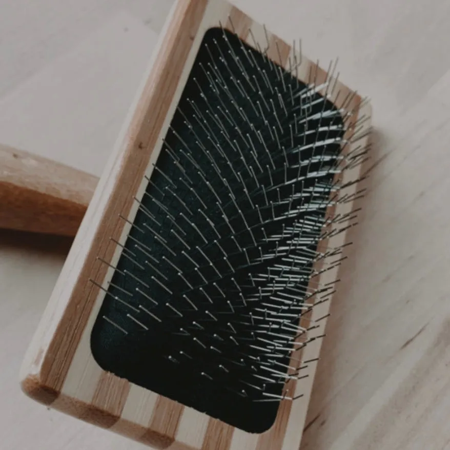 Cat Brush