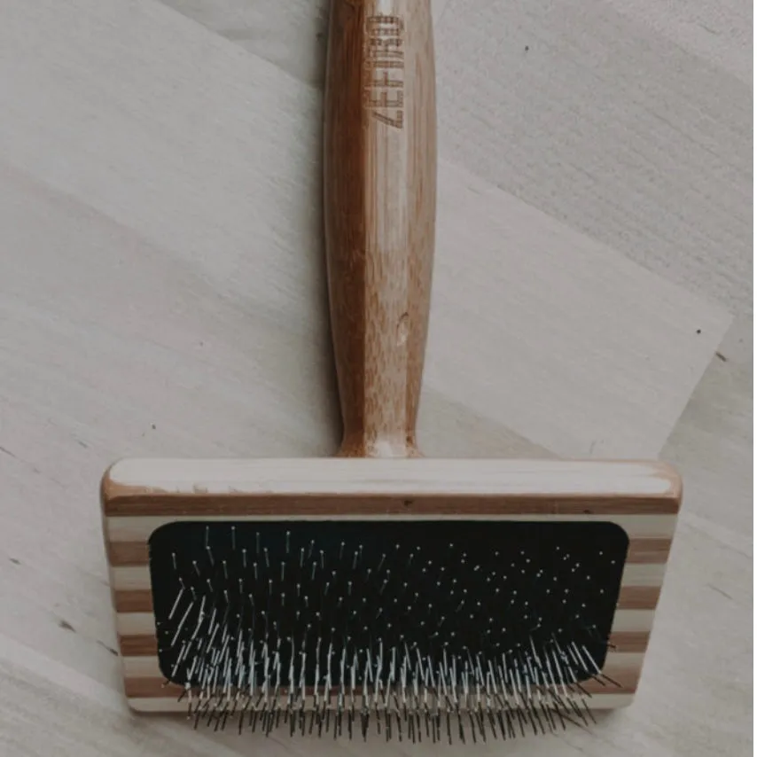 Cat Brush