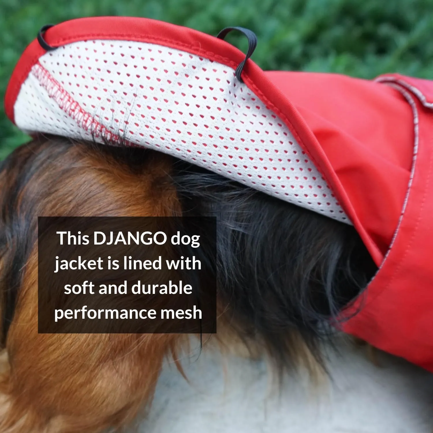 DJANGO City Slicker Waterproof Dog Raincoat and Lightweight Jacket for Long Dogs - Full Coverage Puppy Coat and Reflective Rain Slicker and Windbreaker - Adjustable with Harness Hole (Red, Small)