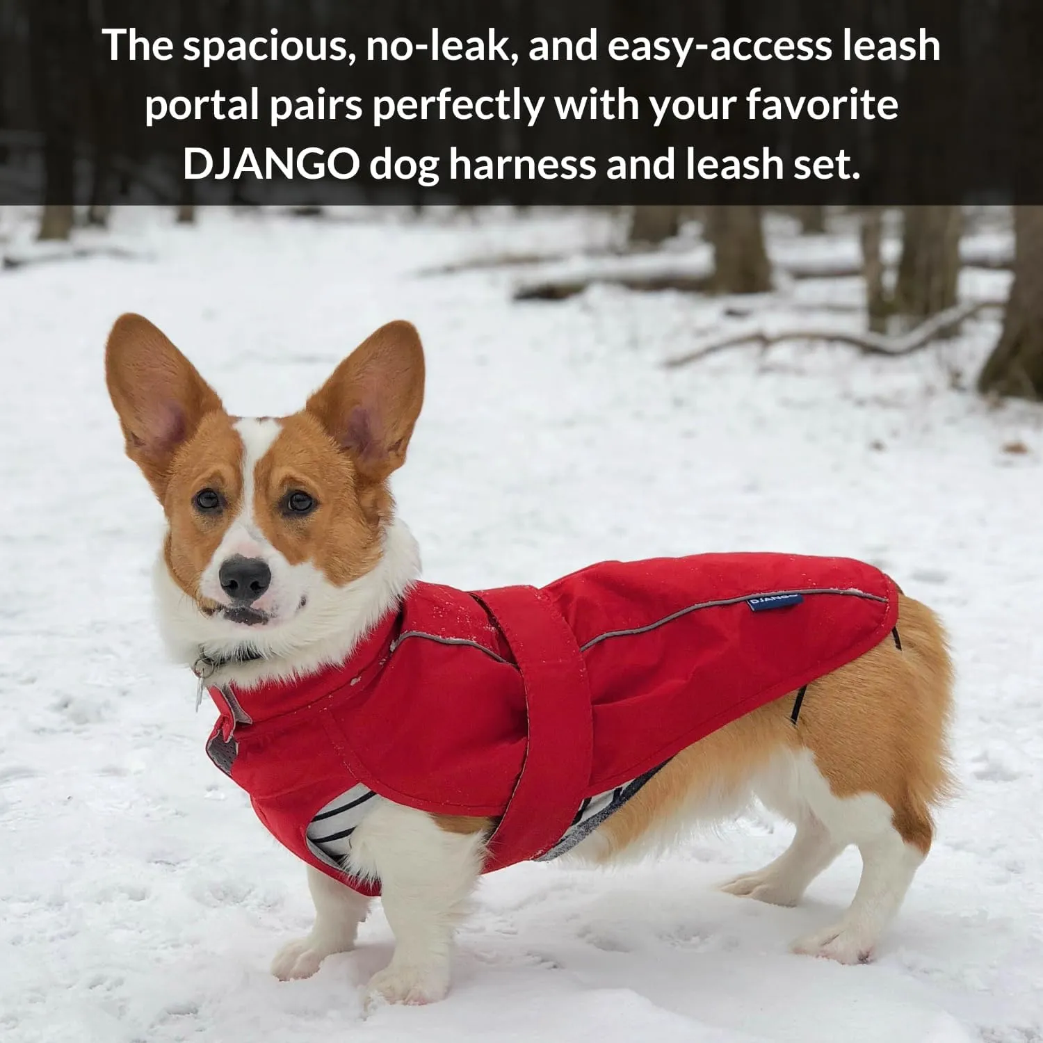 DJANGO City Slicker Waterproof Dog Raincoat and Lightweight Jacket for Long Dogs - Full Coverage Puppy Coat and Reflective Rain Slicker and Windbreaker - Adjustable with Harness Hole (Red, Small)