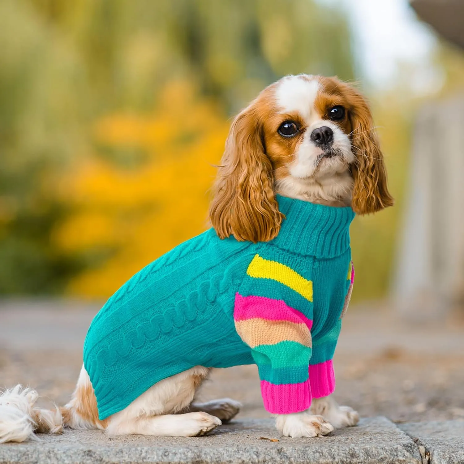 Dog Cold Sweater, Dog Sweaters Winter for Medium Dogs Girl Male, Turtleneck Warm Dogs Sweater Long Sleeve, Stretchy Christmas Doggie Sweaters Outdoor, Pet Knitwear Frenchie, Schnauzer(Green M)