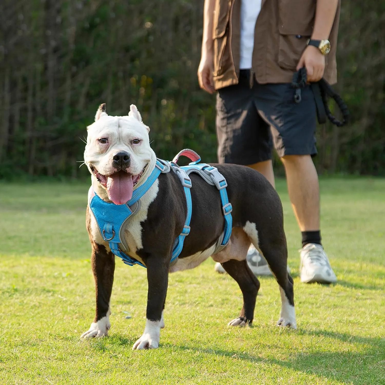 Escape Proof Dog Harness, Escape Artist Harness, Reflective Harness with Padded Handle, Breathable, Durable, Adjustable Vest for Medium Dogs Walking, Training, and Running Gear (Blue, L)
