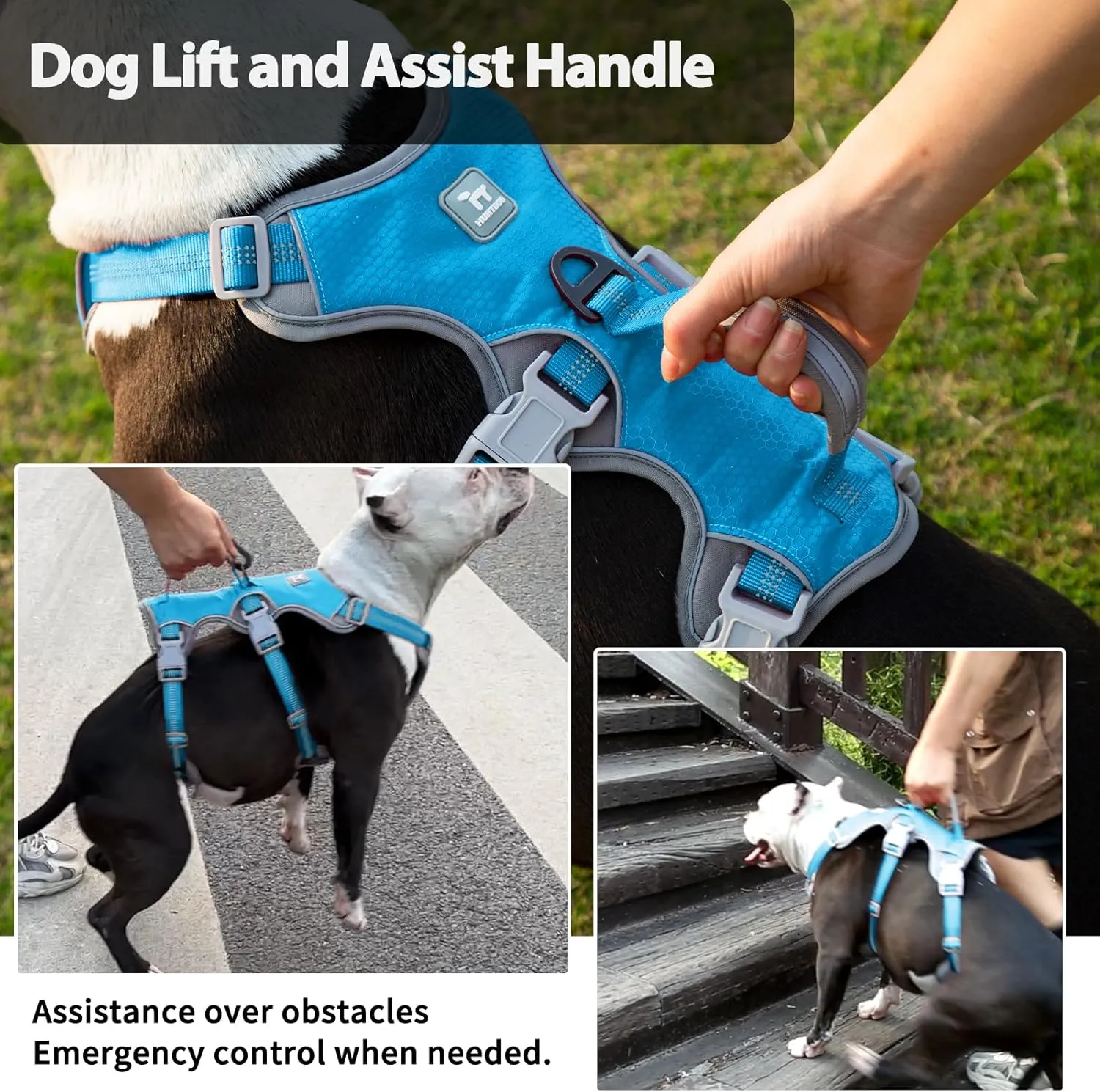 Escape Proof Dog Harness, Escape Artist Harness, Reflective Harness with Padded Handle, Breathable, Durable, Adjustable Vest for Medium Dogs Walking, Training, and Running Gear (Blue, L)