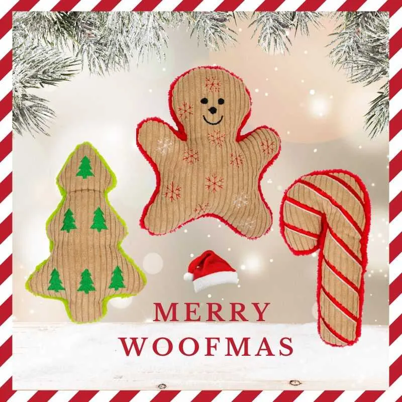 Festive Dog Toy Bundle