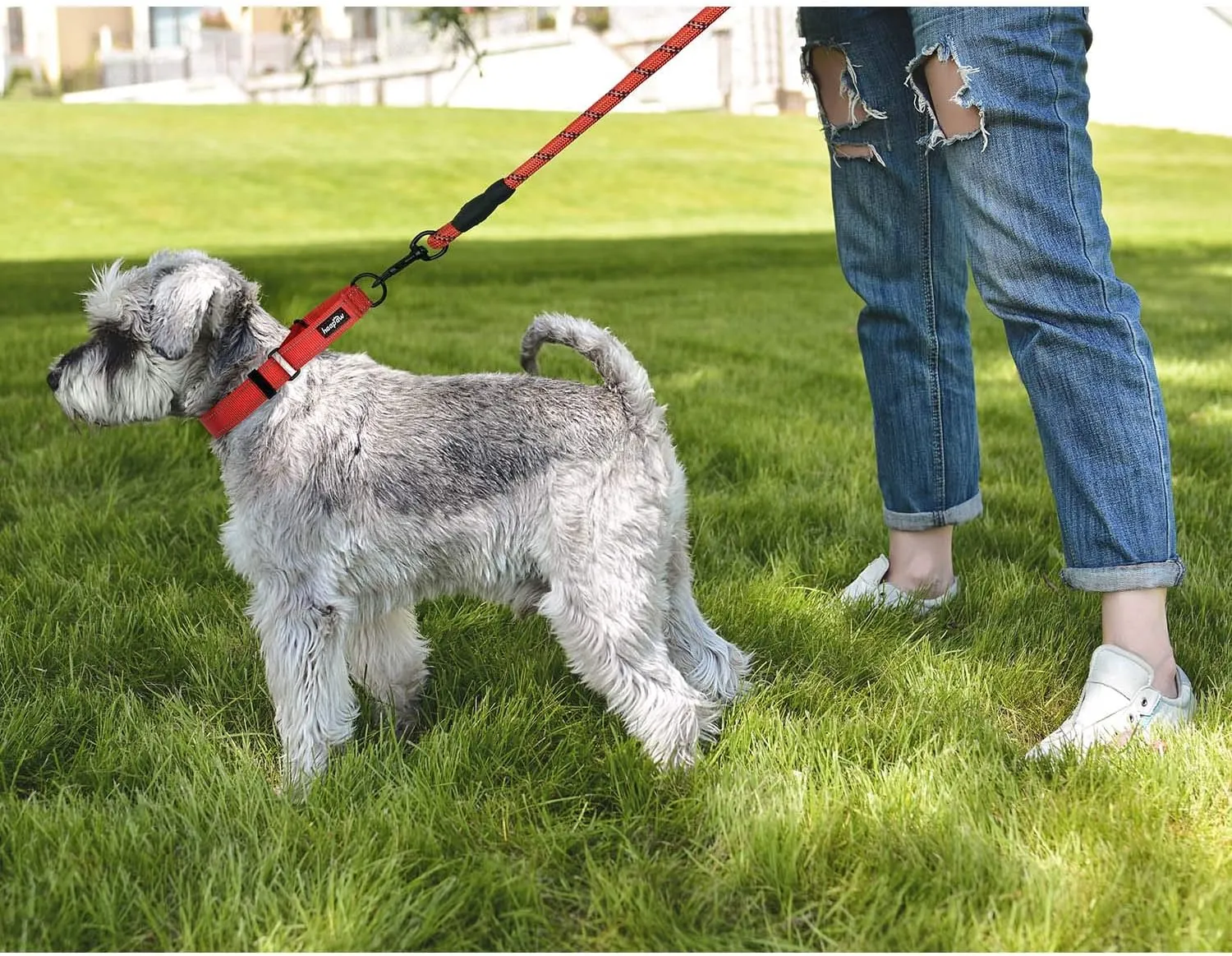 haapaw 2 Packs Martingale Dog Collar with Quick Release Buckle Reflective Dog Training Collars for Small Medium Large Dogs