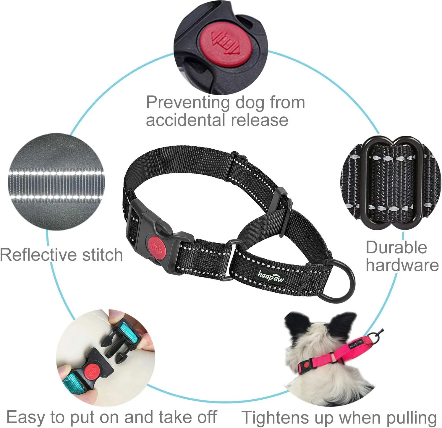 haapaw 2 Packs Martingale Dog Collar with Quick Release Buckle Reflective Dog Training Collars for Small Medium Large Dogs