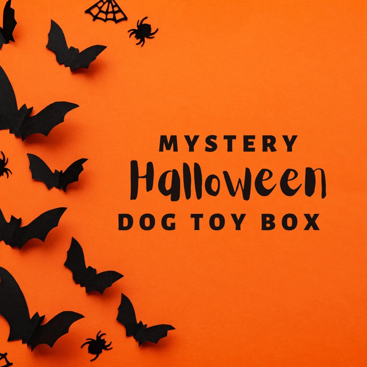 Halloween Mystery Dog Toy Box
