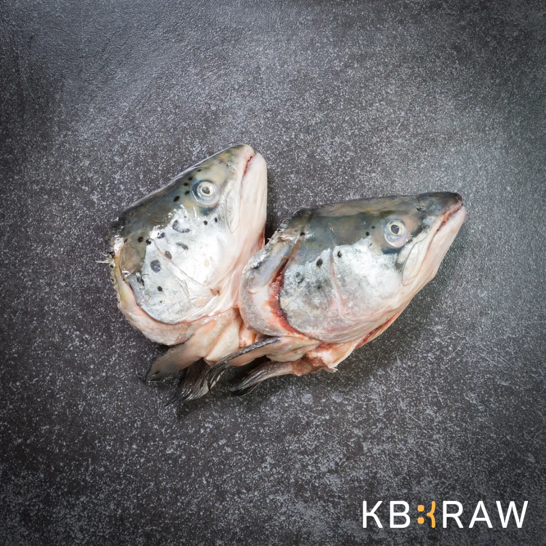 KB Raw Salmon Heads 2 Pack