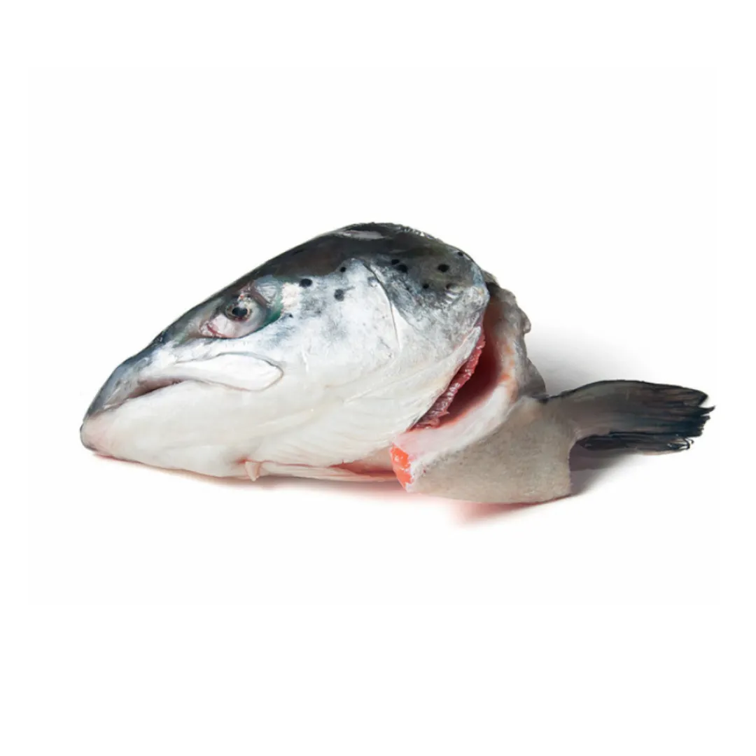 KB Raw Salmon Heads 2 Pack