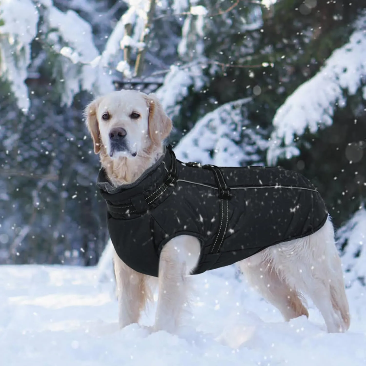 Lelepet Dog Coat - Waterproof Fleece Jacket with Harness Built-in, Warm Winter Coat, Reflective, Zip-Up Padded Vest for Small Medium Large Dogs, M