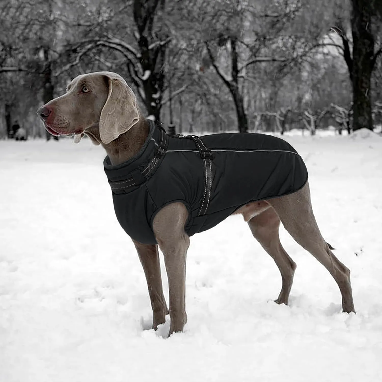 Lelepet Dog Coat - Waterproof Fleece Jacket with Harness Built-in, Warm Winter Coat, Reflective, Zip-Up Padded Vest for Small Medium Large Dogs, M