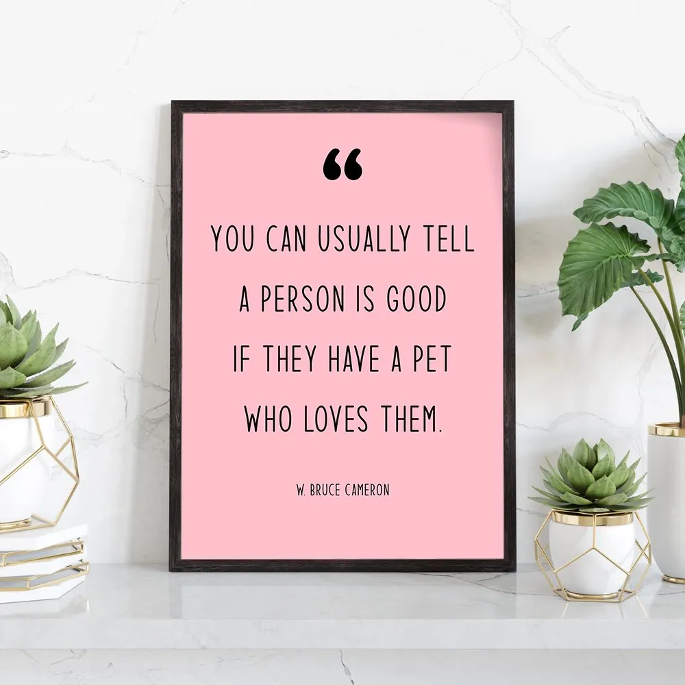 Modern Pet Quotes