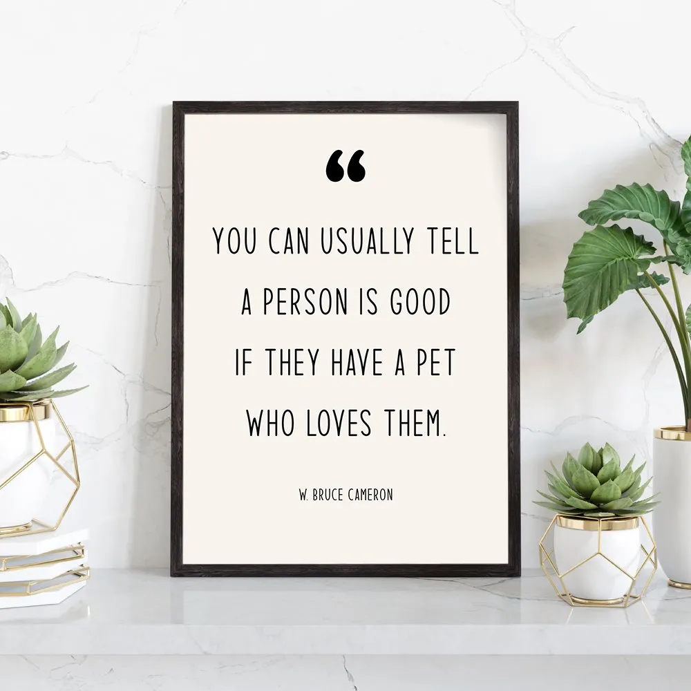 Modern Pet Quotes