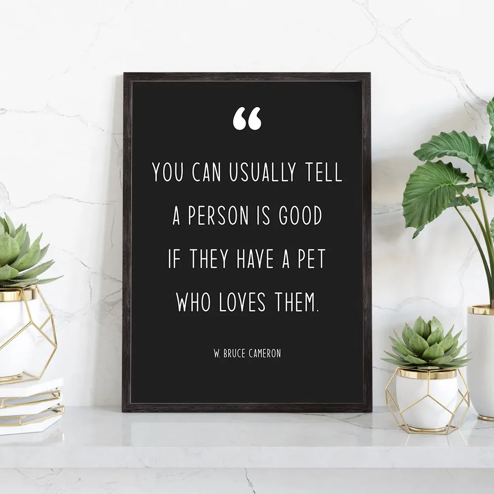 Modern Pet Quotes