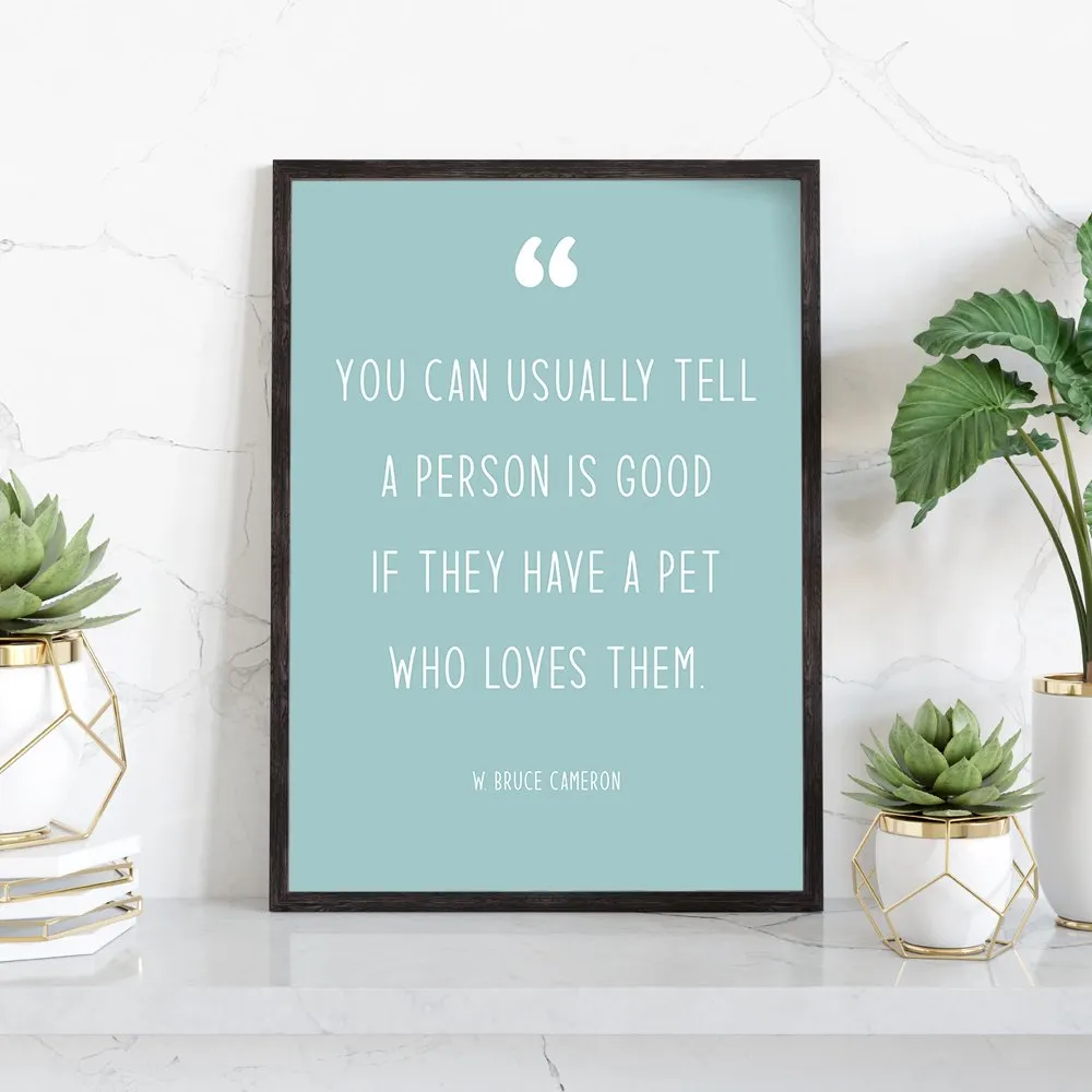 Modern Pet Quotes