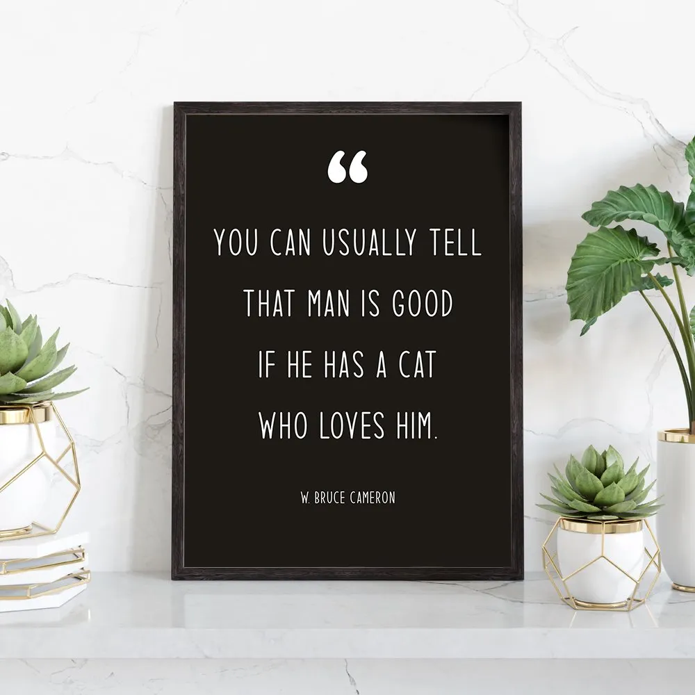 Modern Pet Quotes