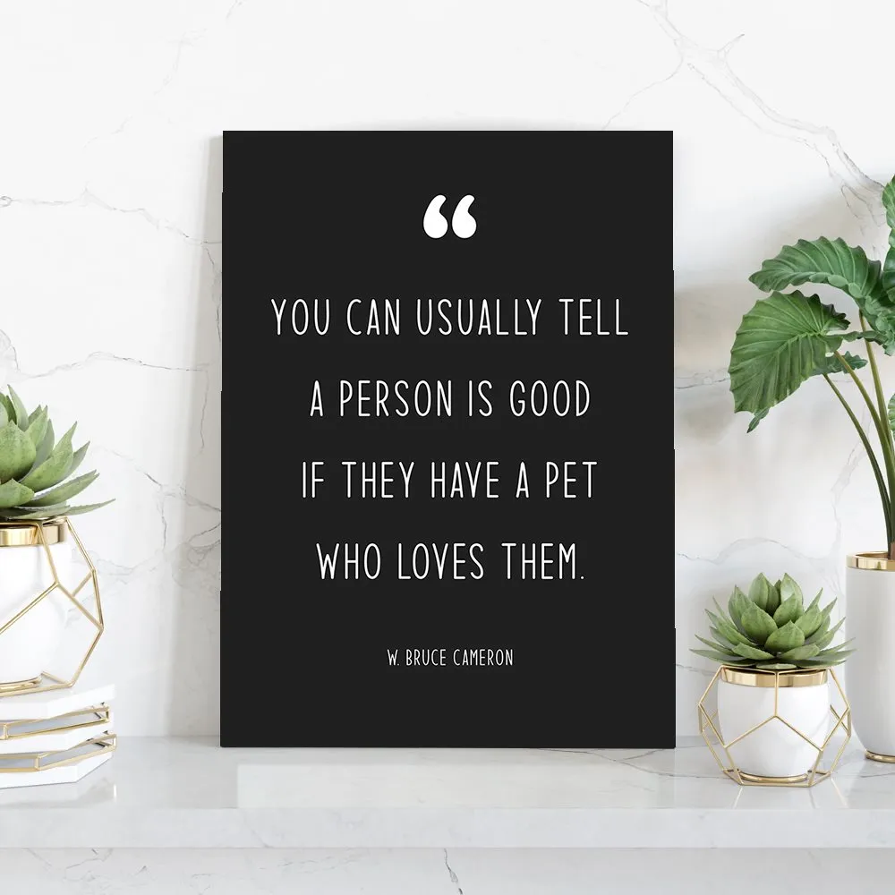 Modern Pet Quotes