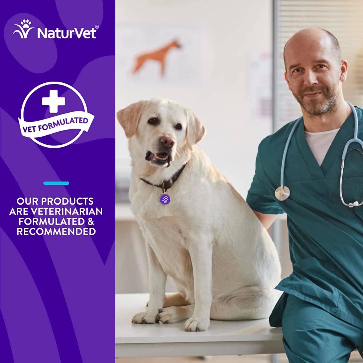 Naturvet Evolutions Anchovy   Allergy and Joint Support Soft Chews Dog Supplements - 90 Count