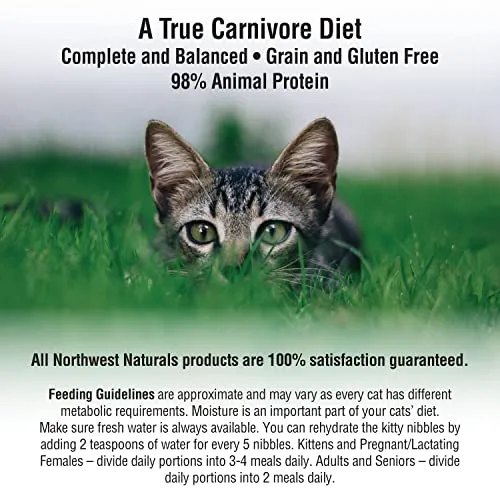 Northwest Naturals Freeze Dried Duck Cat Recipe Freeze-Dried Cat Treats - 11 oz Bag