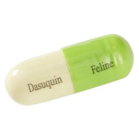 Nutramax Dasuquin Joint Health Cat Supplement, 84 count