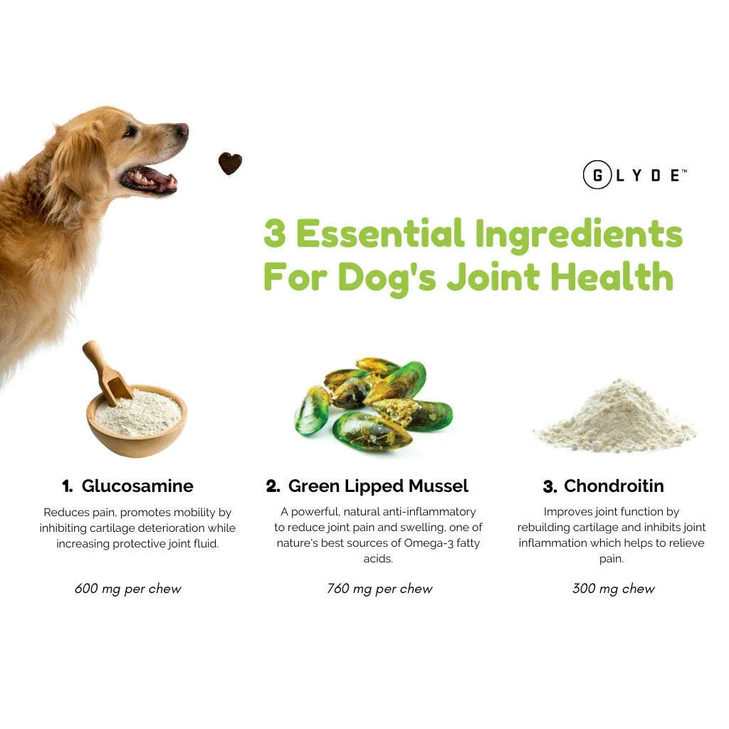 Parnell Glyde Mobility Chews for Dogs