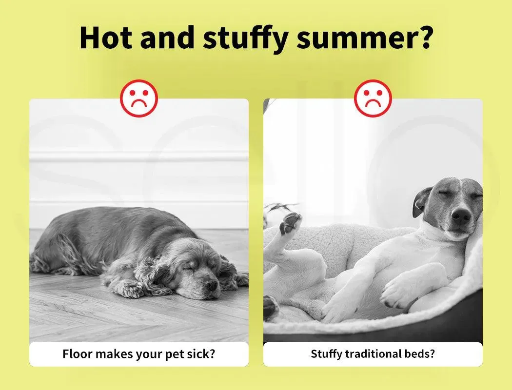 PaWz Dog Summer Cooling Mat