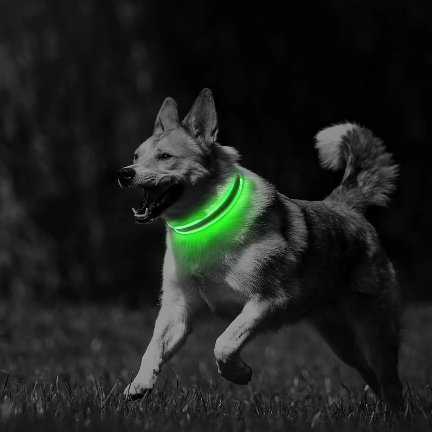PcEoTllar Light up Dog Collars Rechargeable, LED Dog Collar Night Walking, Waterproof Flashing Glow in The Dark Dog Collars, Adjustable Dog Lights for Large Small Medium Dogs Green-L