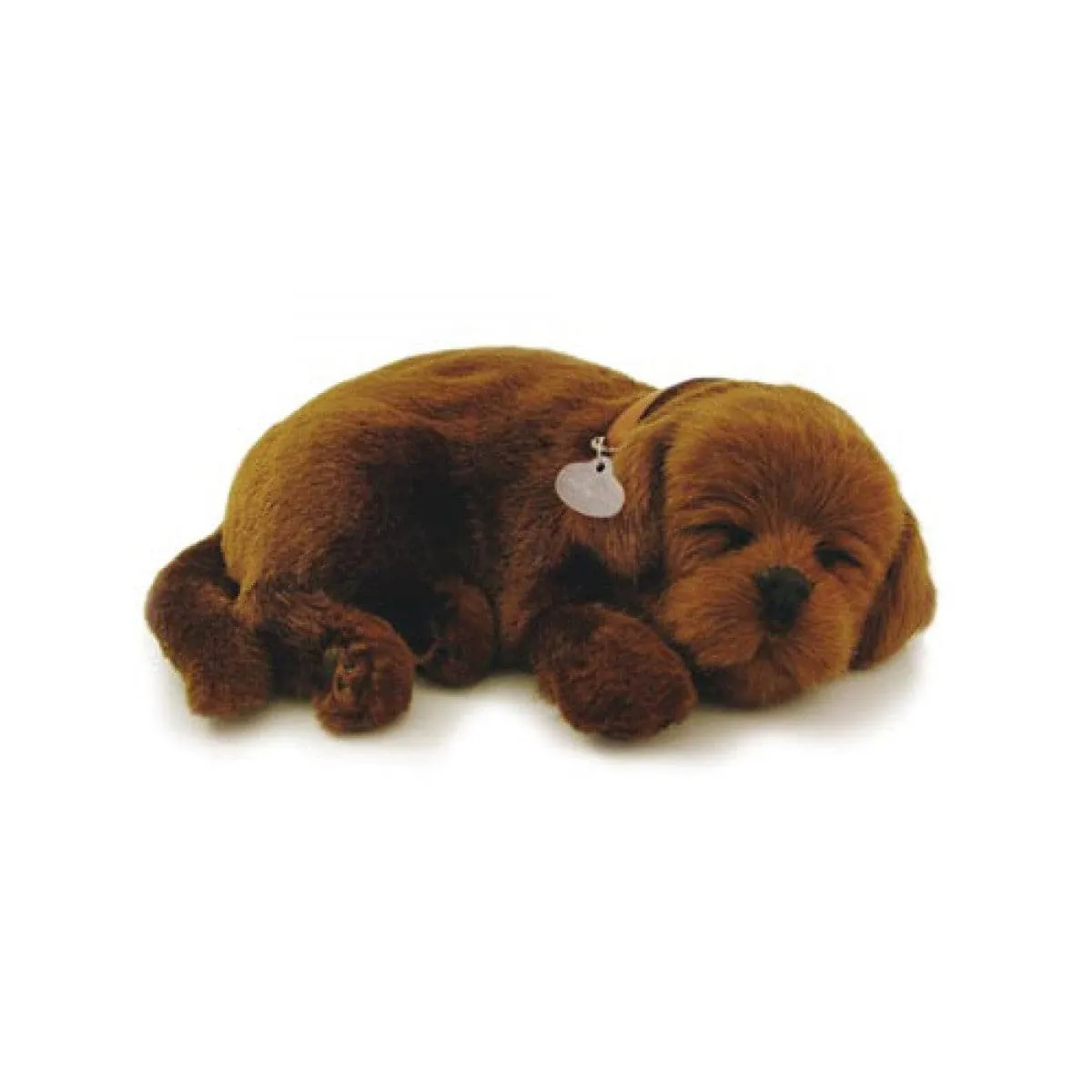 Perfect Petzzz Chocolate Lab
