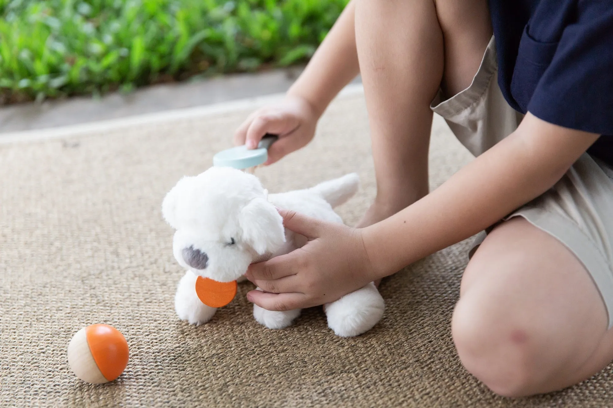 Pet Care Set