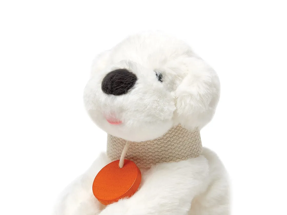 Pet Care Set
