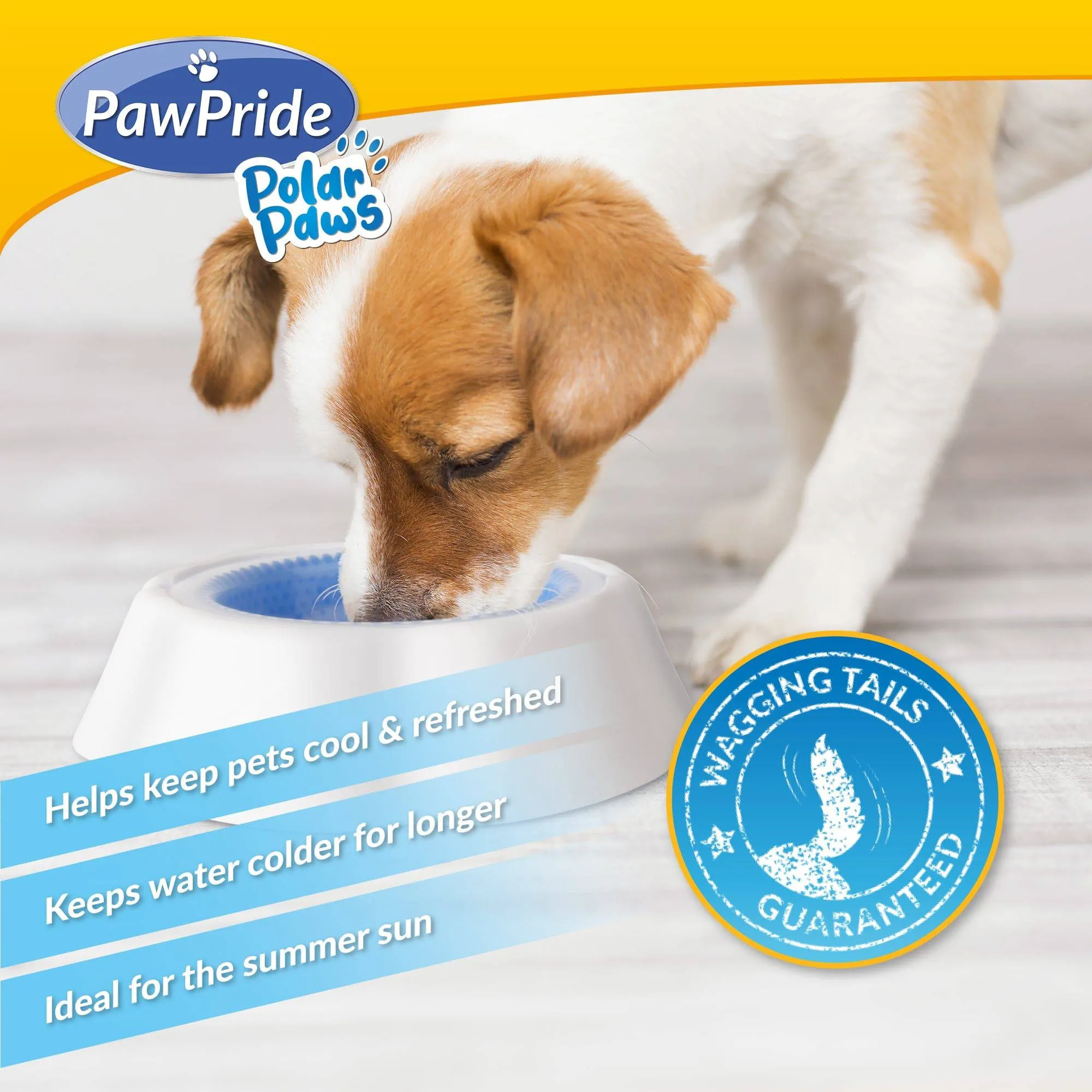 Pet Cooling Bowl - PawPride