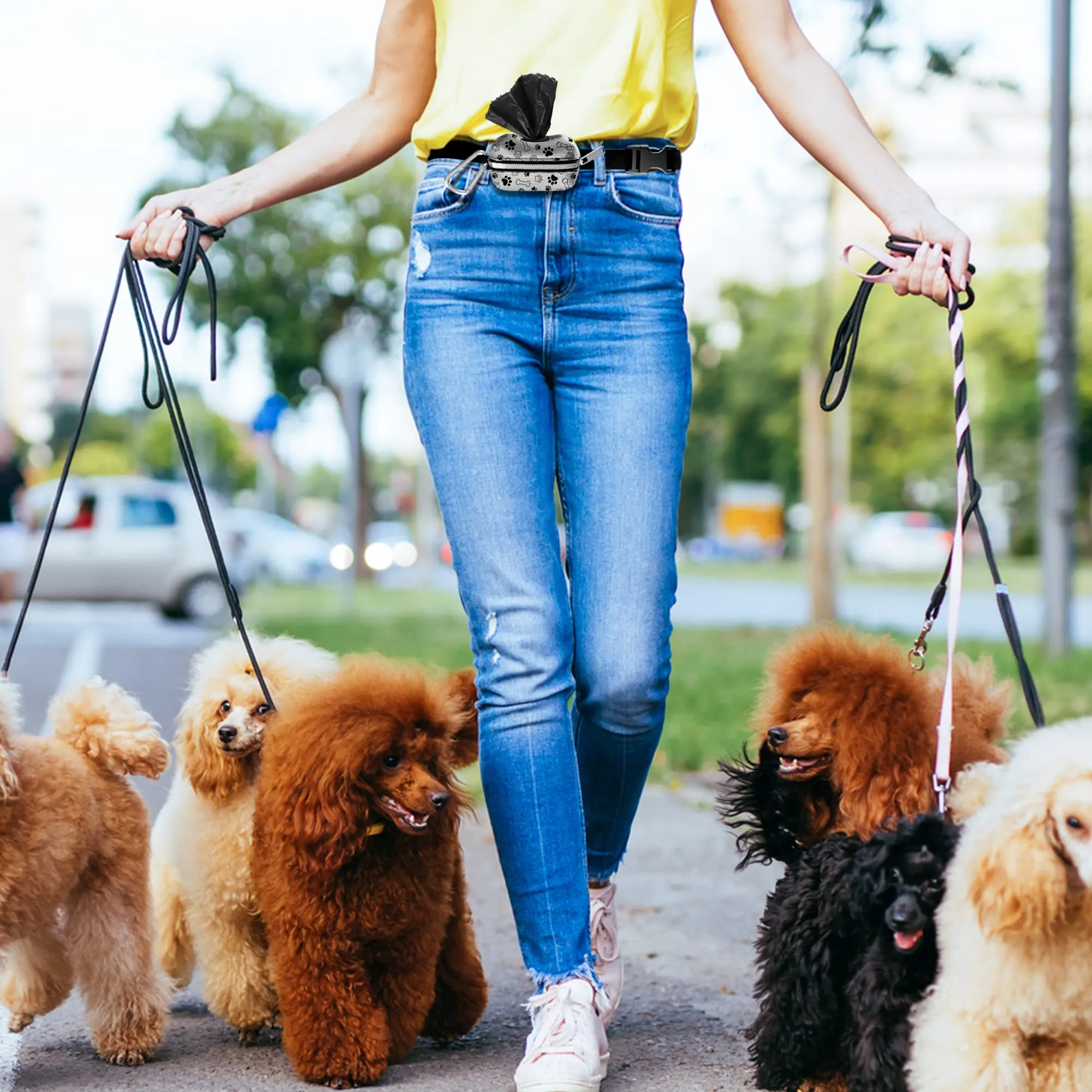 Pet Dog Waste Dispenser Bag with Disposable Dog Poop Waste Bags