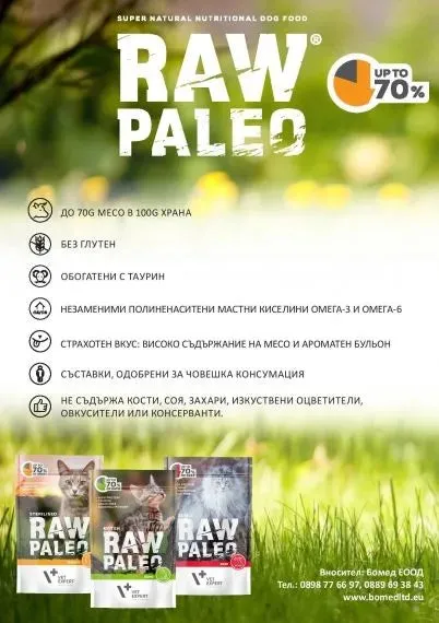 Pouch Raw Paleo Cat Adult Game 100G