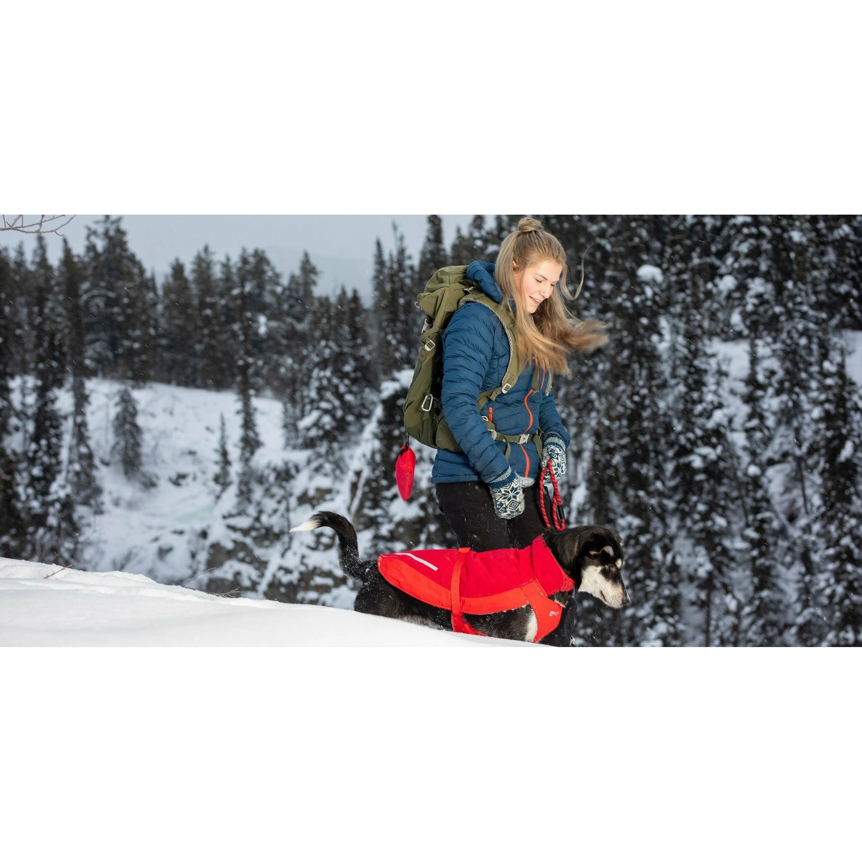 RC Dog Coat Circuit Dark Red & Goji Berry