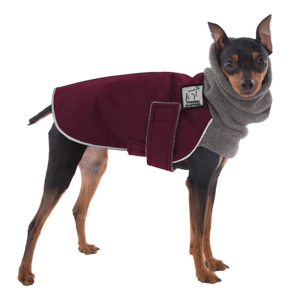 ReCoat ♻️ Miniature Pinscher Winter Coat with Harness Opening