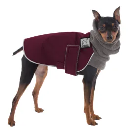 ReCoat ♻️ Miniature Pinscher Winter Coat with Harness Opening