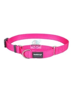 Red Dingo Martingale Half Check Collar in Hot Pink for Dogs