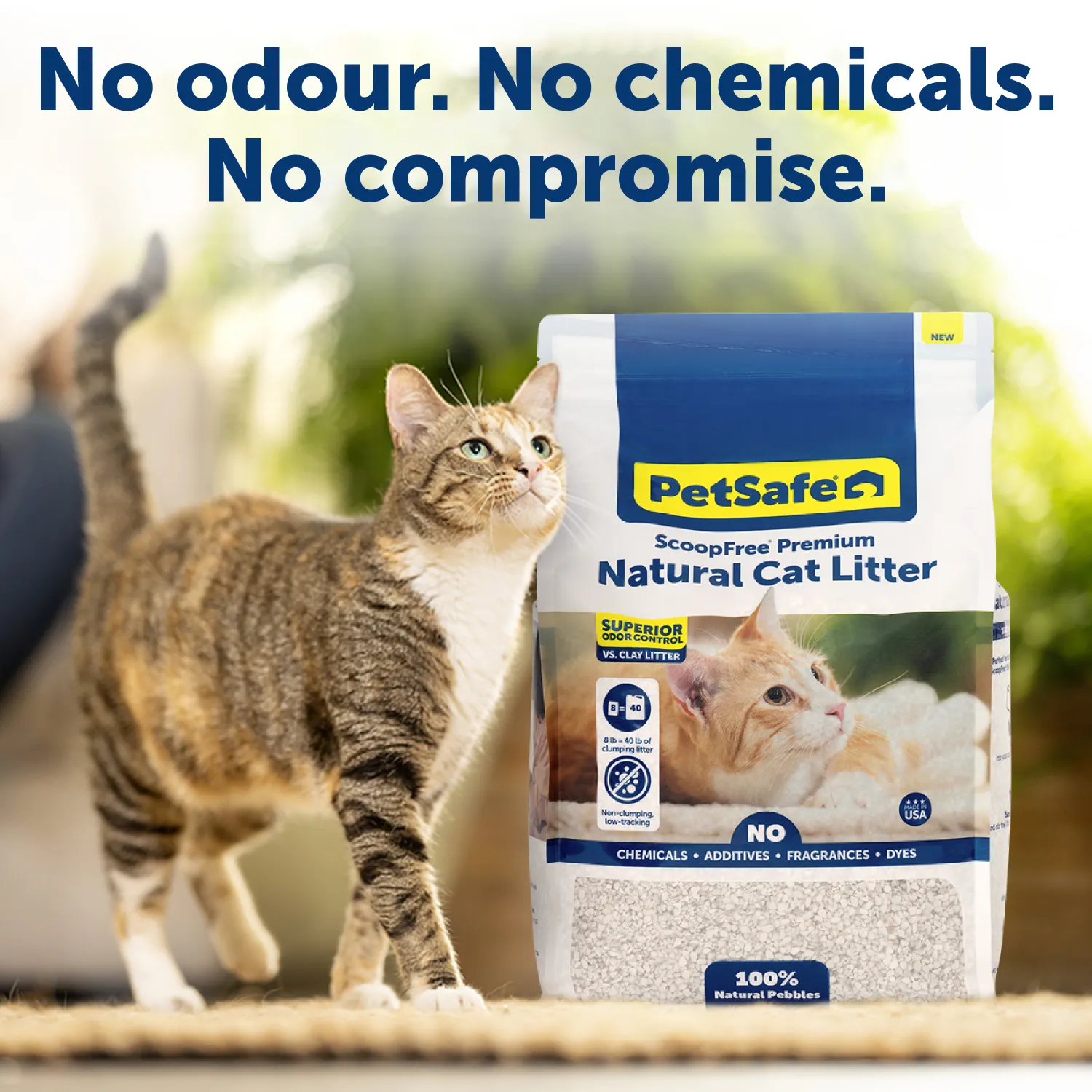 ScoopFree® Premium Natural Cat Litter, 3.6 kg Bag
