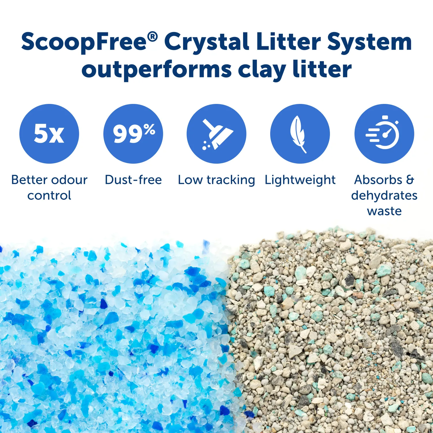 ScoopFree® Replacement Blue Crystal Litter Tray (1-Pack)