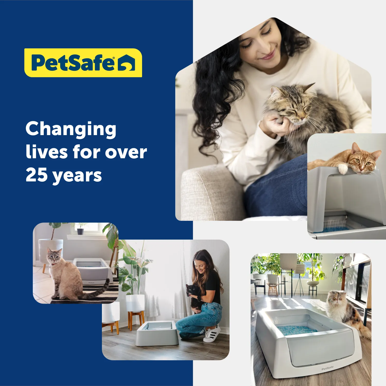 ScoopFree® Replacement Blue Crystal Litter Tray (3-Pack)