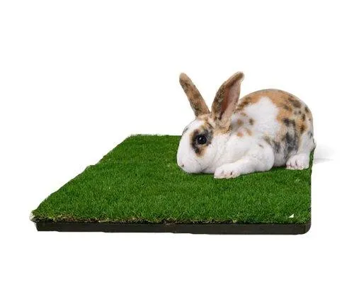 Small Animal 1pk with Tray and with Waste Bags